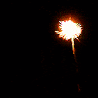IMG_1538.gif