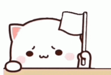 IMG_2712.gif