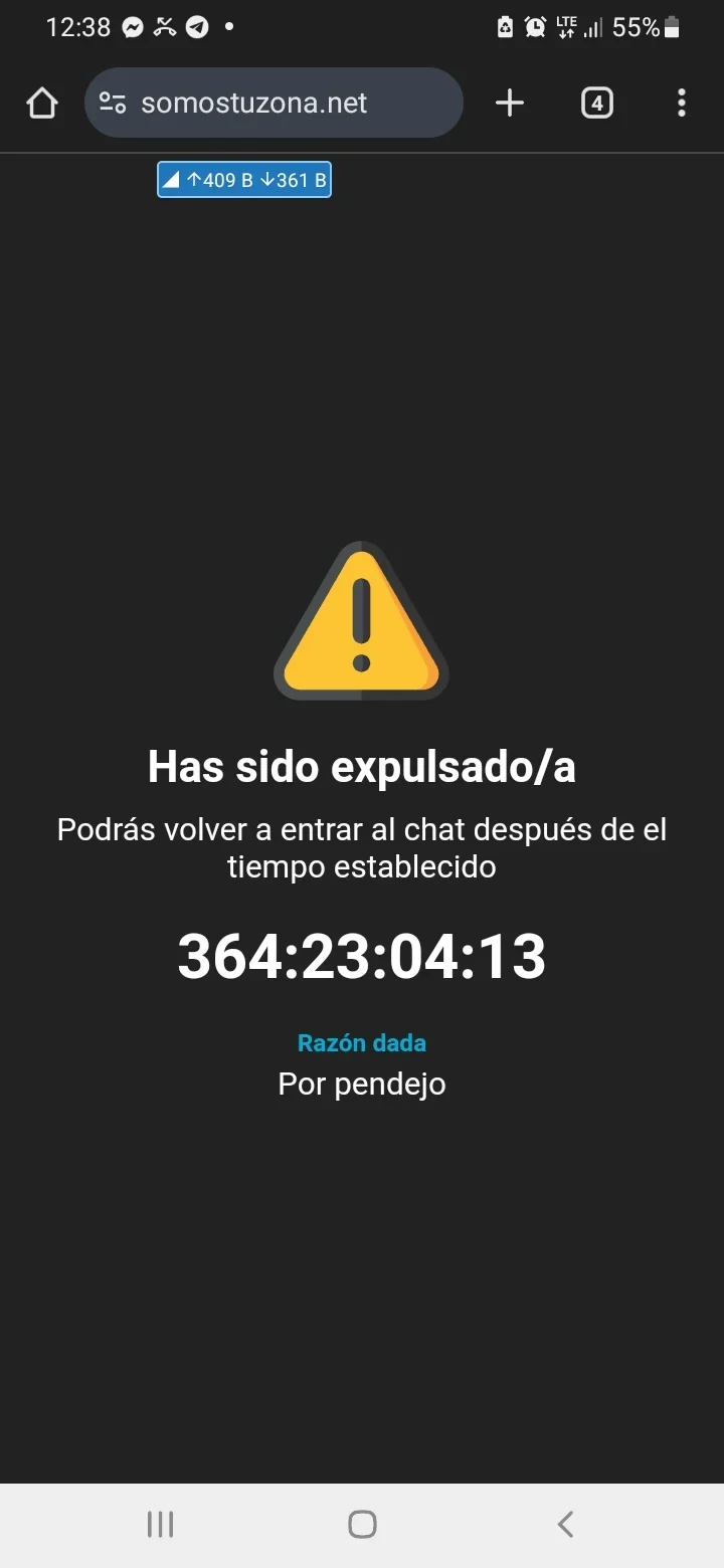 Screenshot_20250331-123817_Chrome.webp