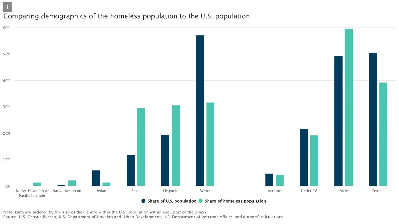 1comparing-demographics.webp