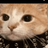 Trisha_w.r8